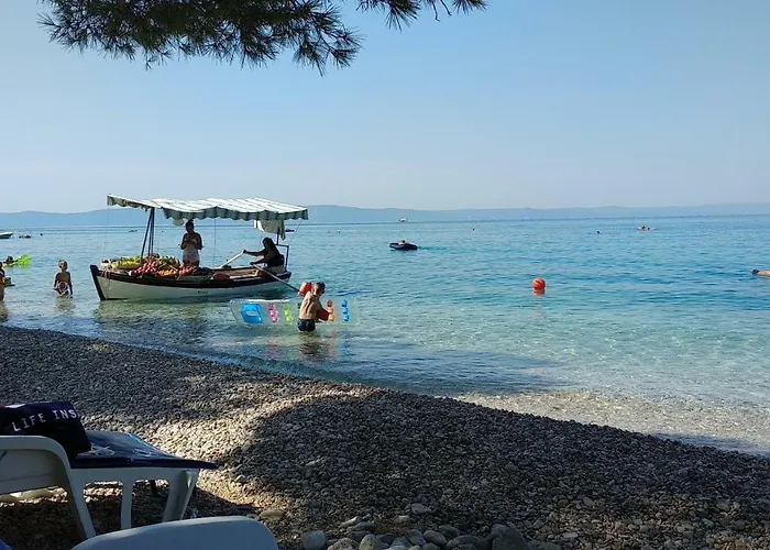 Nikolic *